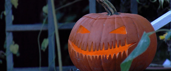 Halloween Bilanz  (Quelle: RTF1)